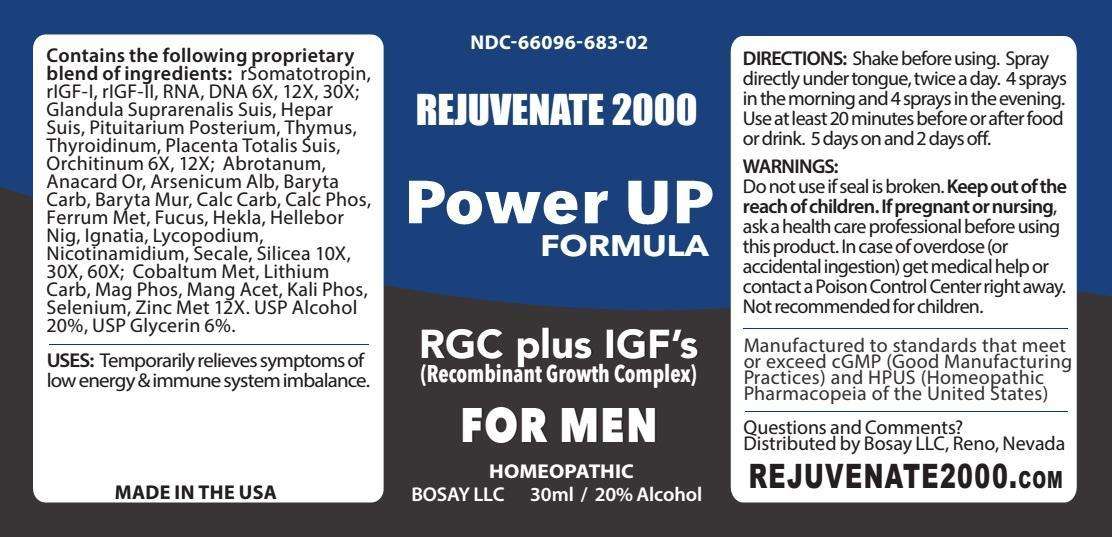 Rejuvenate 2000 Power Up Formula For Men